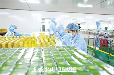 贵州油茶: 精深加工突围 带动全产业链升级