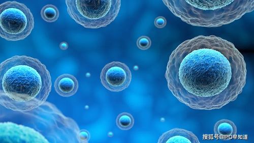康立明生物启动辅导,idg资本 鼎晖投资等为主要投资方
