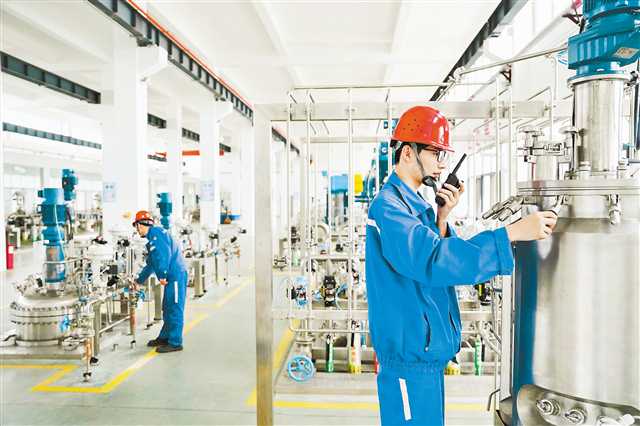 长寿 加快建设新材料高地