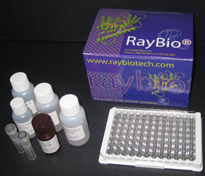 最新供应 第2页 - 最新供应 - 广州瑞博奥生物科技 - 丁香通