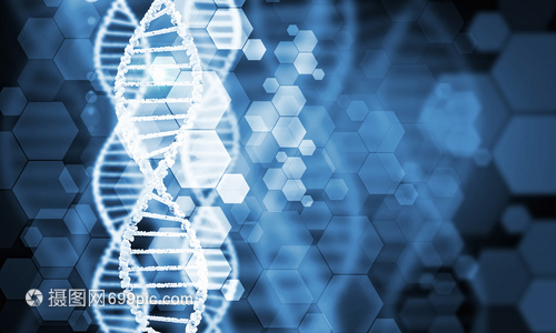 DNA分子高科技DNA分子的生物化学背景