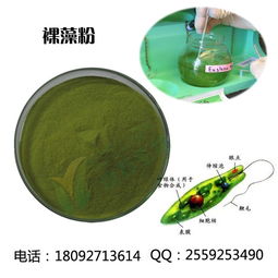 裸藻排毒养颜功效 裸藻 西安维特生物科技 多图