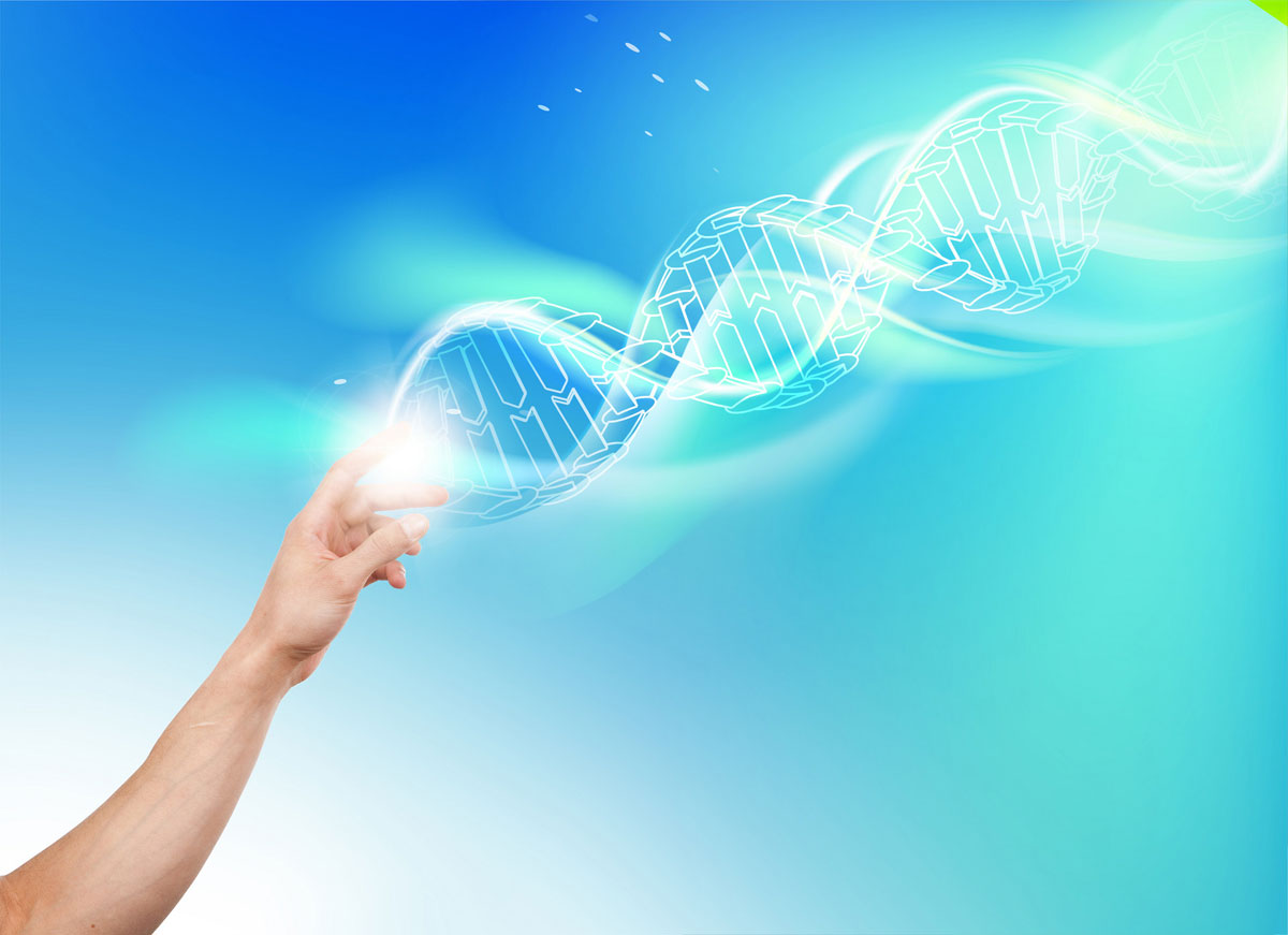 黄石市艾恩斯生物科技公司简介