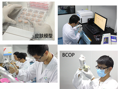 广州市华代生物科技