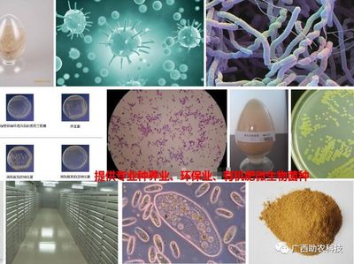了解南宁微瑞生物科技