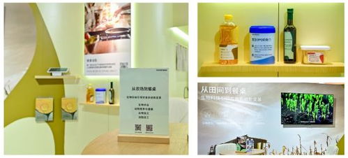 诺和新元 novonesis 全新亮相fic 2024 以生物科技引领食品健康体系新变革
