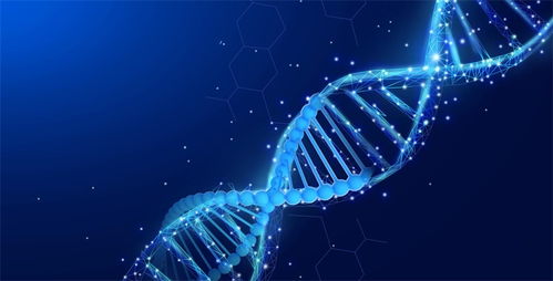 超越crispr技术 新基因编辑工具seekrna面世 精确切割靶点并插入新dna序列