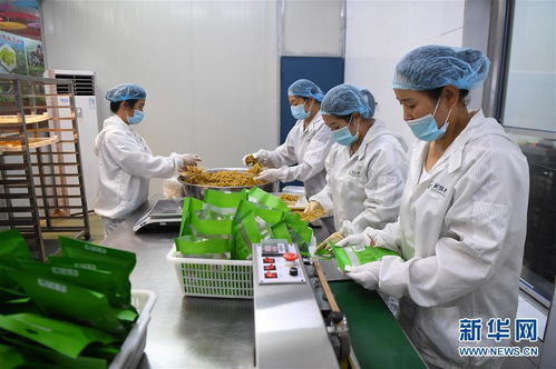 菖蒲塘村的 甜蜜 事业