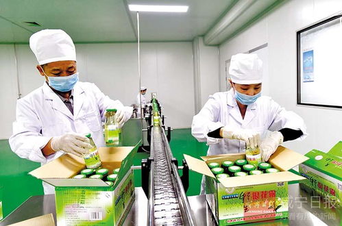 图文 三九生物科技投产