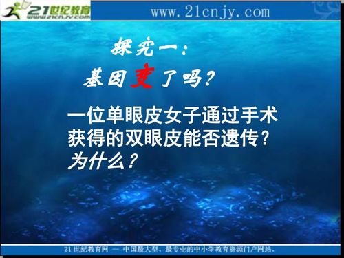 2010生物高考复习 生物科技 专题系列课件06 基因突变和基因重组 下载 生物