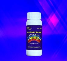 高清图片