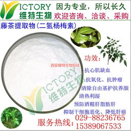 藤茶提取物,藤茶提取物功效,西安维特生物科技 多图