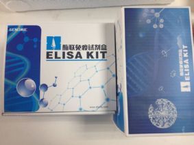 脱氧胆酸钠溶液 E2高纯度 (国产/进口)-产品展示-上海信帆生物科技