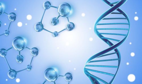 简脂虎 科学与技术才是减肥产品的基础