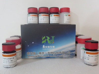 普鲁士蓝染色液(伊红法)