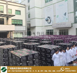 上海化妆品oem 集尚生物化妆品oem 化妆品oem代加工