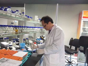 斯澳生物科技完成a轮1亿元融资