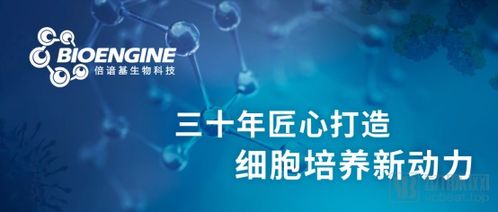 专注细胞治疗领域的倍谙基生物科技获逾亿元b 轮融资