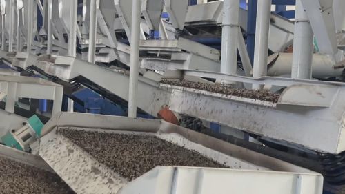 塔城地区生物科技产业助力外贸迎来广阔发展机遇