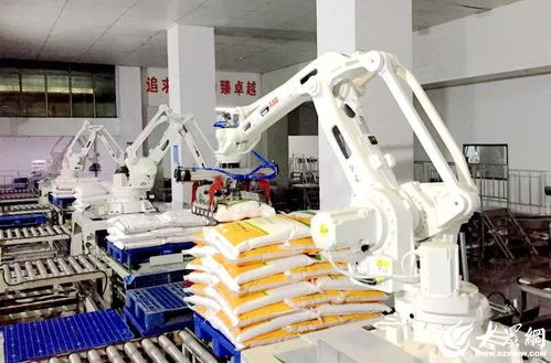 科技赋能,农头工尾 潍坊安丘新安街道锻造健康食品产业黄金链条