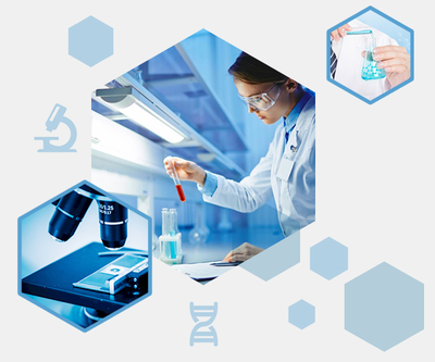 公司简介 - 生物科技新星