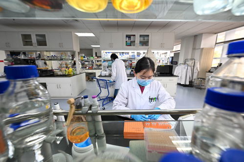 新华全媒丨我在岗位上迎新年 生物科技领域的守岁人与开拓者